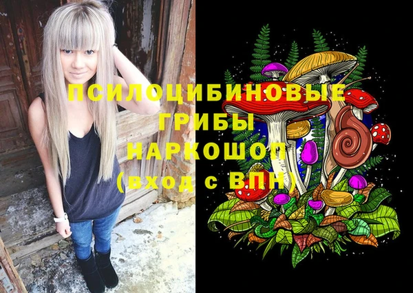 дмт Новозыбков