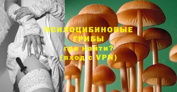 ALPHA PVP Новодвинск